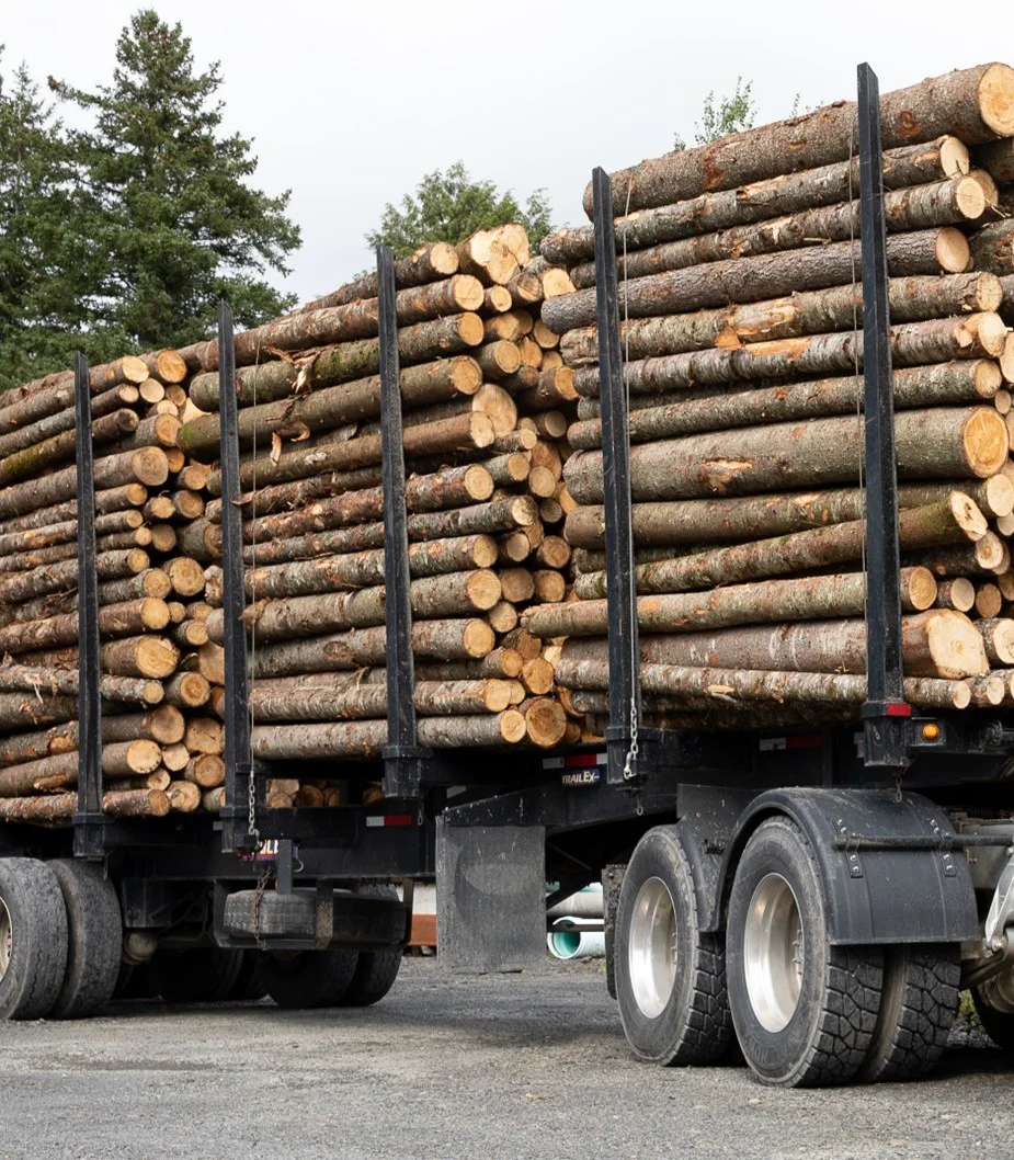 grume-camion-de-25-steres.webp Kastanienstämme, LKW-Ladung von 25 Kubikmetern – Bild 1